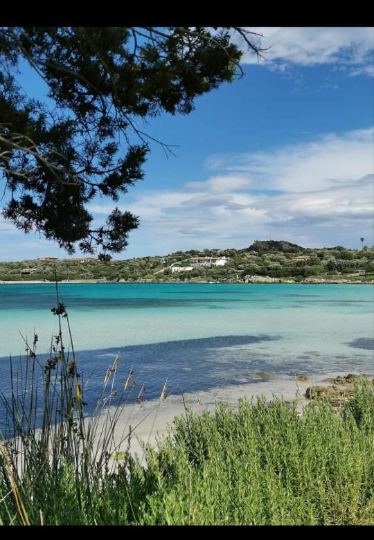 B&B Marina Olbia Extérieur photo